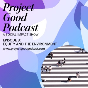 Equity and the Environment