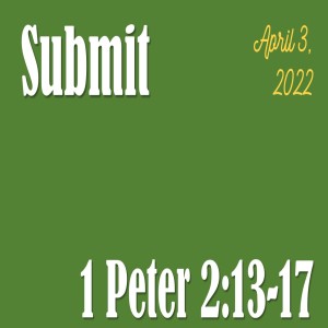 Submit 1 Peter 2:13-17