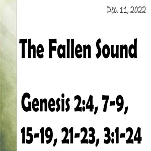 The Fallen Sound~Russell Roderick~December 11, 2022