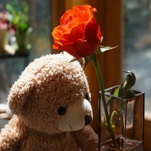 5 Reasons To Gift A Giant Teddy Bear To Loved Ones