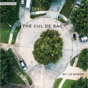 introducing: the cul de sac