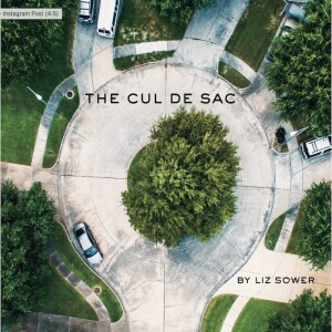 the cul de sac: chapters 46 - 58