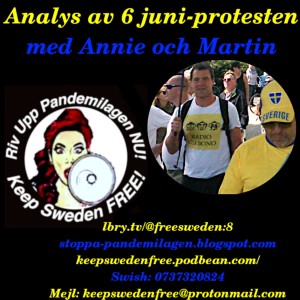 Analys av 6 juni-protesten med Annie och Martin