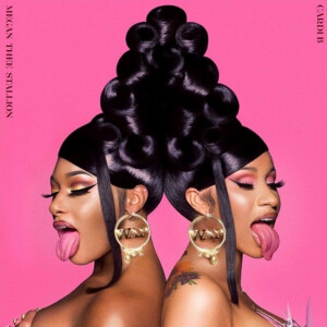 Cardi B WAP Megan Thee Stallion Music Review