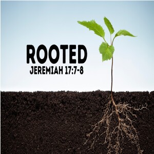 Rooted in Community