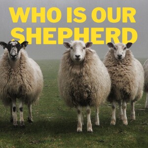 Who Is Our Shepherd