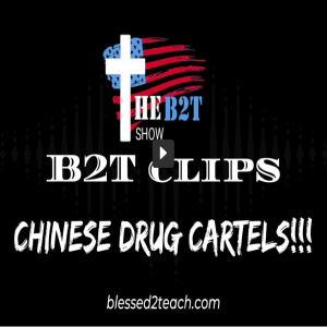 Chinese Drug Cartels!!!