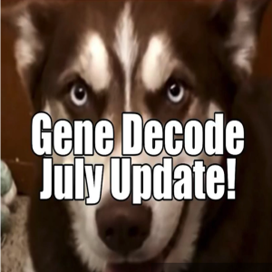 Gene Decode: July Update! Spiritual Battles. B2T Show Jul 13, 2021