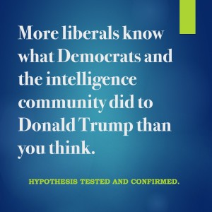 Liberals know a lot more about what the Democrats and intelligence community did to Donald Trump than previously understood.