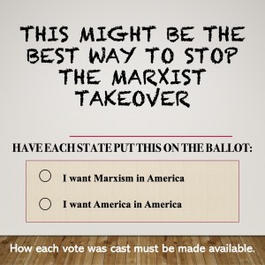 This might be the best way to stop the Marxist takeover. Put it on the ballot.