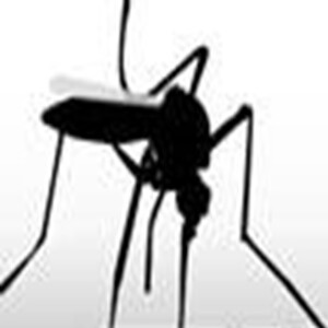 Zika Virus: A Podcast for Professionals Providing Family Planning Services