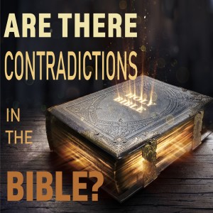 Bible Contradictions: Ho do we explain polygamy?