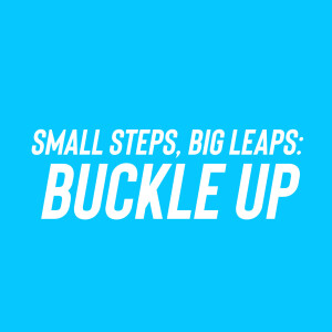 Small Steps, Big Leaps: Buckle Up (Terry Rapley)