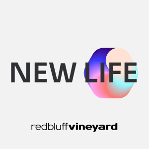 New Life: Resurrection Reality