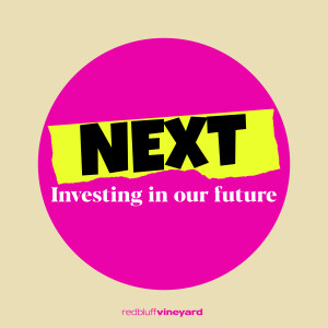 NEXT: Investing in the Future (Ephesians 2:19-22)