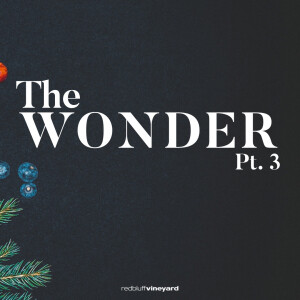 The Wonder (Luke 1:26-45)