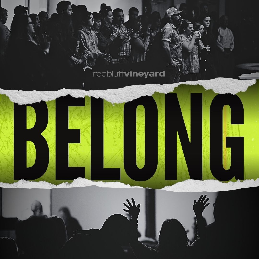 Belong: Connecting to the Vineyard