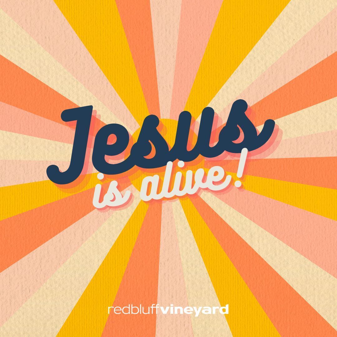 A Lot Can Happen in Seven Days || Easter 2024