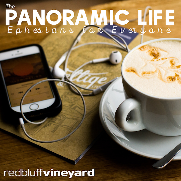 Vices, Virtues, & Living Centered on Jesus and the Kingdom (Ephesians 4:17-32)