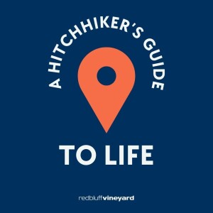 A Hitchhiker's Guide to Life pt. 1