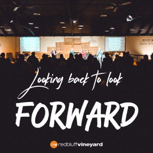 Looking Back to Look Forward (2019 Review)