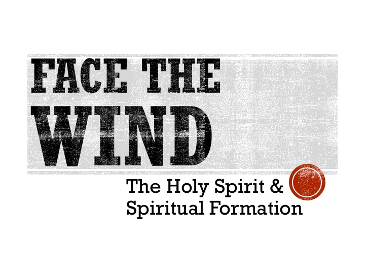 Face the Wind: Introduction