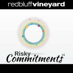 Risky Commitments: Failure