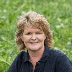 Ill thrift and autumn trace element management. Part 1: Charlotte Westwood on plant physiology