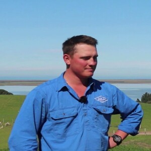 Grazing lucerne on Willesden Farm, with Tyler Good and Derrick Moot