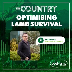 Optimising Lamb Survival Ep.1 with Dr David Stevens