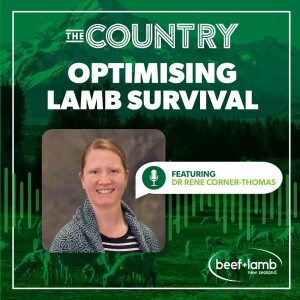Optimising Lamb Survival Ep.3 with Dr Rene Corner-Thomas