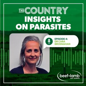 Insights on Parasites Ep.4 with Dr Cara Brosnahan