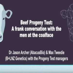 Beef Progeny Test: A frank conversation with the men at the coalface