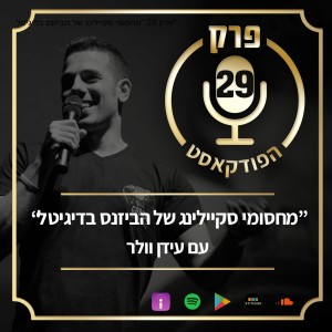 פרק 29:"מחסומי סקיילינג של הביזנס בדיגיטל"