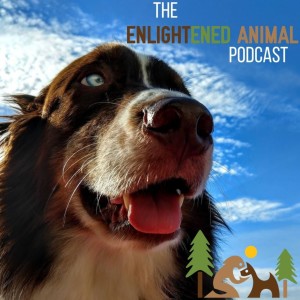 The Enlightened Animal Podcast Trailer