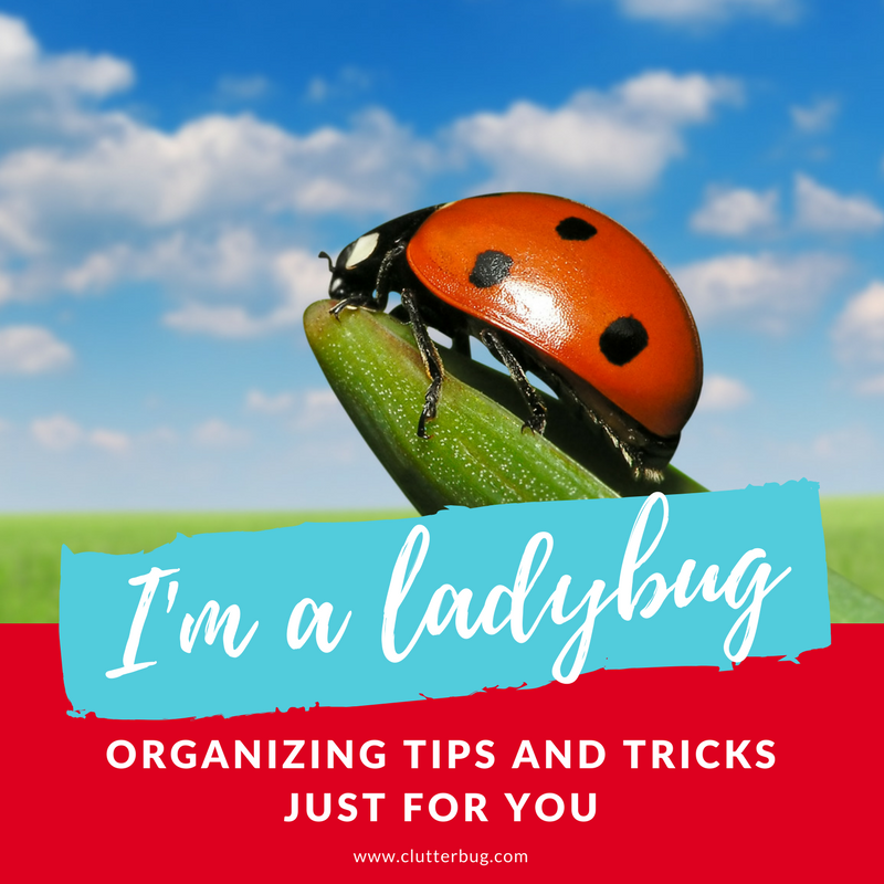 I’m a Ladybug - Organizing Tips and Tricks - What ClutterBug are You? | Clutterbug Podcast # 38