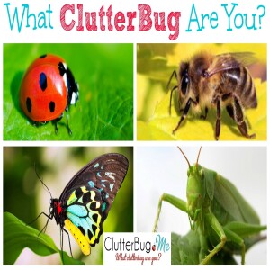 What ClutterBug Are You? Learn Your Organizing Style | Clutterbug Podcast # 14