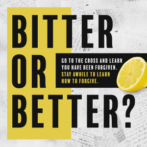 Bitter or Better? - Part 2