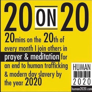 HUMAN TRAFFICKING UPDATE - 20 ON 20