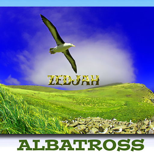 ALBATROSS