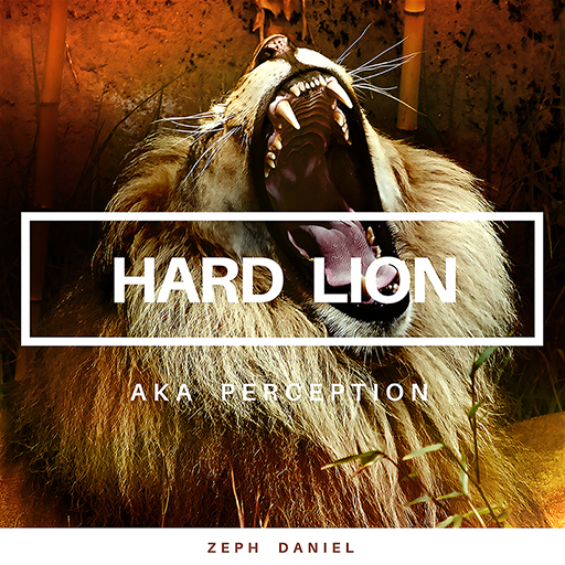Hard Lion AKA Perception