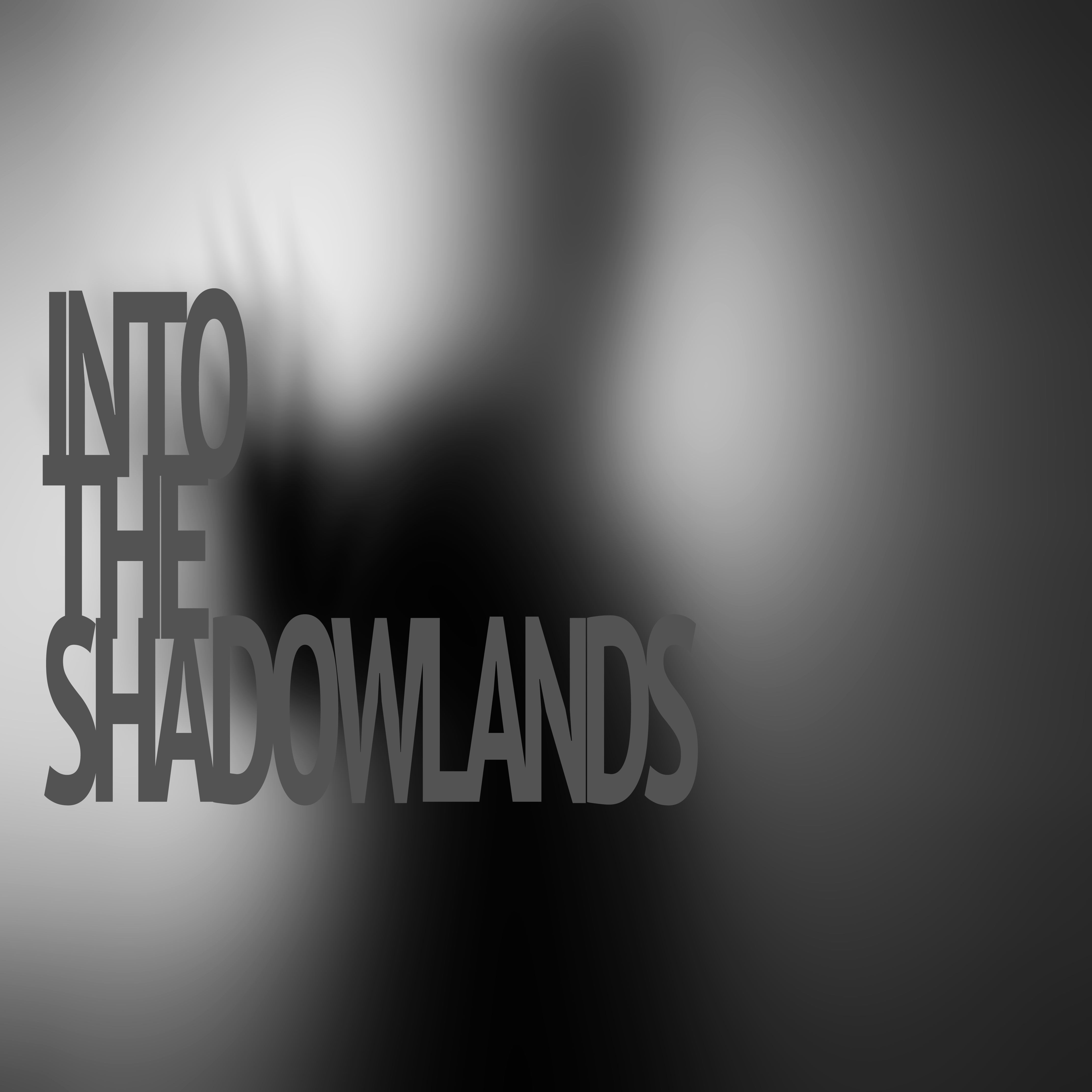 INTO THE SHADOWLANDS