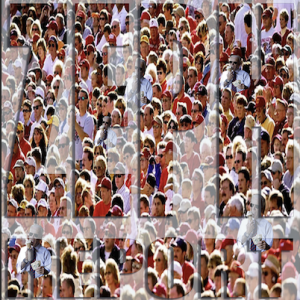 Organized Protected by the Mass (es)