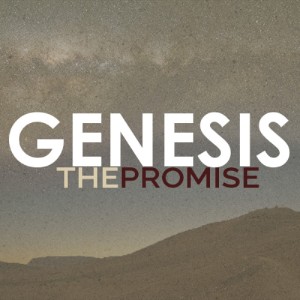 Providence and Provision