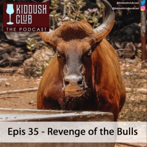 Epis 35 - Revenge of the Bulls