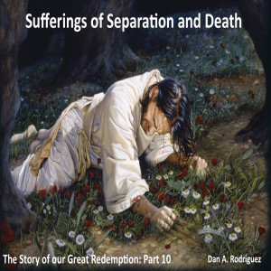 Sufferings of Separation and Death: The Story of our Great Redemption #10