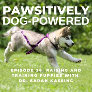 Raising and Training Puppies with Dr. Sarah Kassing