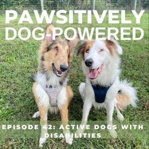 Active Dogs with Disabilities