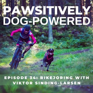 Bikejoring with Viktor Sinding-Larsen