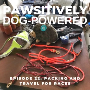 Packing and Travel for Races
